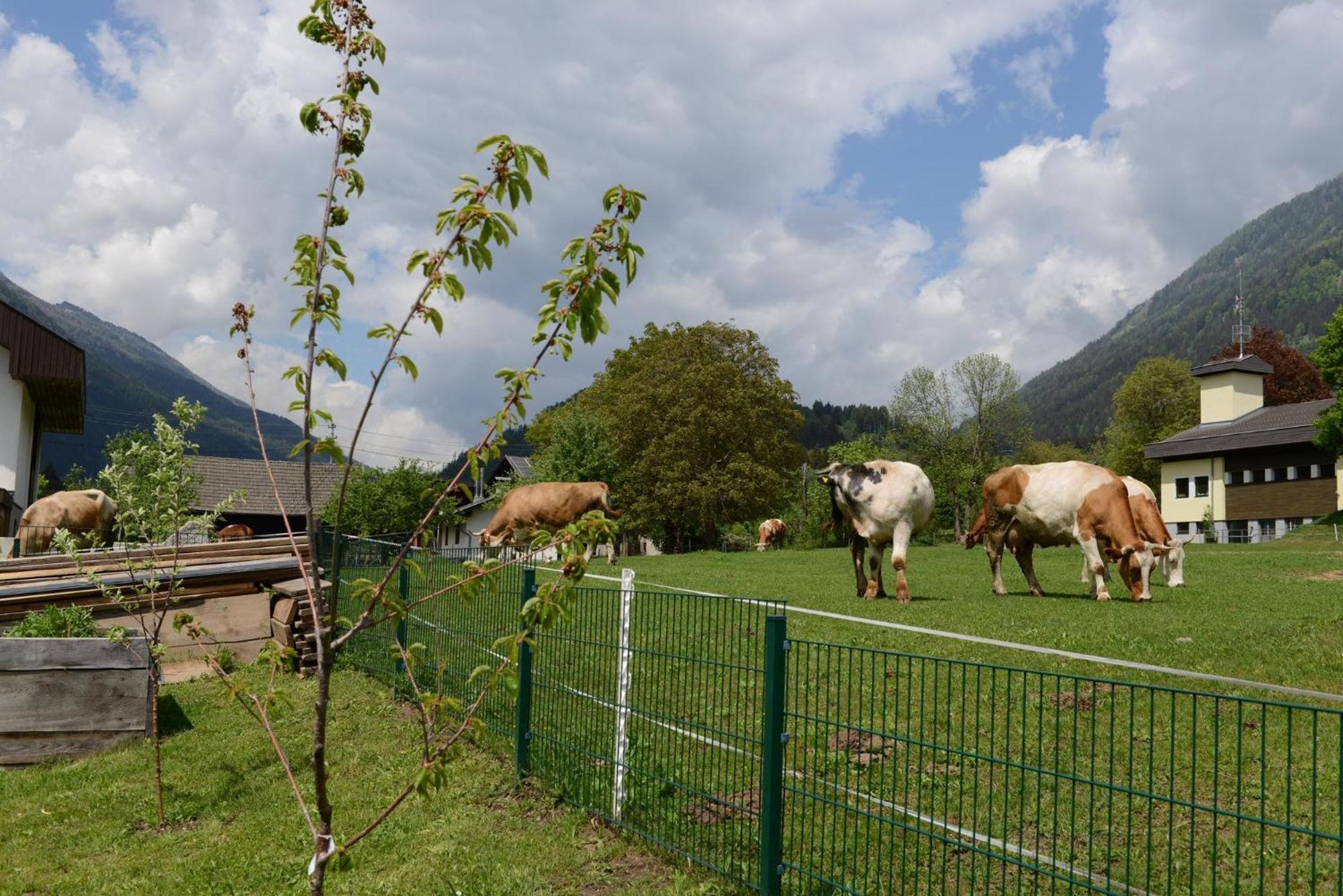 Ferienhaus Kolbnitz Unterkolbnitz Kültér fotó